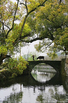 HUANGLIFEN采集到风景