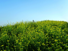 naturesky采集到河北时光 HEBEI TIME