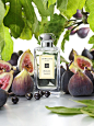 Jo Malone™ Wild Fig & Cassis Cologne