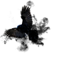 crow_smoke_png_by_chloethesleepy-dapq68b