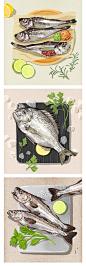 餐饮美食海鲜水产带鱼虾子生蚝章鱼螃蟹贝壳鱼插画PSD分层素材-淘宝网
