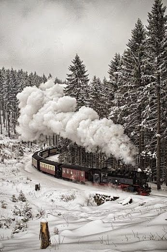 德國~經過黑森林的火車。