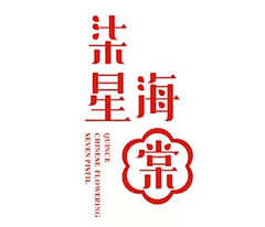 苏正好123采集到字体,logo设计