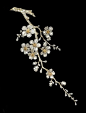 Diamond set corsage ornament in the form of cherry blossom by Vever, 29 cm long. c.1900. Private collection, Photograph courtesy of Sotheby’s