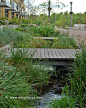 Bioswale for stormwater treatment at the Meriwether mixed use development in the South Waterfront District, Portland, Oregon: 