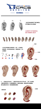 2013-8-18每周一课耳朵排版改.jpg