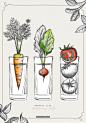 胡萝卜 水萝卜 西红柿 杯子 自制原料 淡彩手绘 美食手绘插画PSD 平面设计 绘画插图
