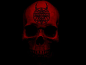 skull web red dark picture and wallpaper