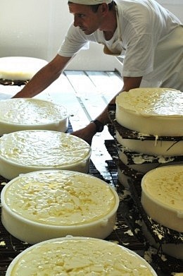 制作奶酪  法国