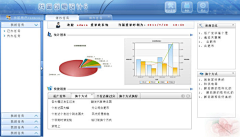 ST小兰采集到ERP系统界面