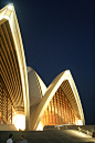 Sydney Opera House at Night: 