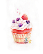 纸杯蛋糕-小可叔叔_插画,水彩,美食,甜点,童话,手绘_涂鸦王国插画