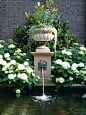 Hydrangea Garden and fountain