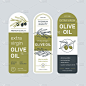 橄榄油标签套装。包装油的设计模板。