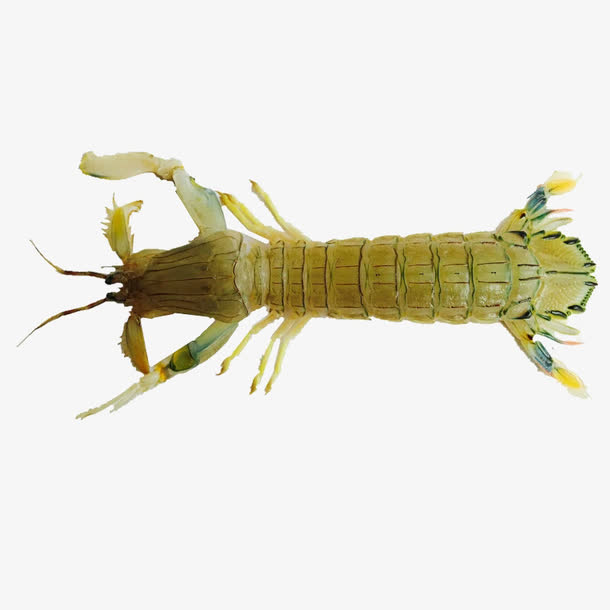 eec14f5f4fe42572f947e6fd1583e4a0f9b72ce07c8c-8QN74j