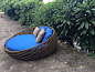 beach outdoor furniture plastic sunbed, View sunbed, LIGO Product Details from Foshan Liyoung Furniture Co., Ltd. on Alibaba.com