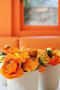 Potted ranunculus for tables! Great idea!: 