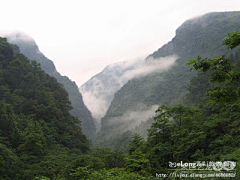 Guozhouuu采集到金佛山生态石林, 七月浅
