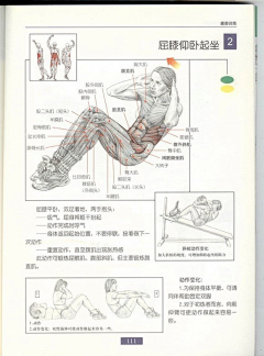 4587zxk采集到健身