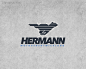 标志说明：Hermann汽车性能测试logo设计欣赏。