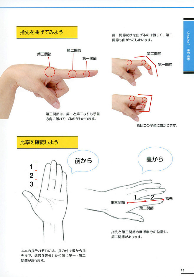 非常详细的一套手的画法教程，推荐给大家~...