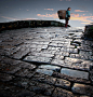 彭学平---老桥。作者拍摄于古都丽江，作品采用低角度的光影来表现老桥石板的质感，以表达古都丽江的历史和沧桑