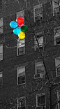 Fly away Balloons