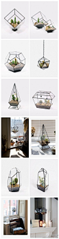 Score+Solder推出的系列玻璃花盆，由其创始人Matthew Clelandis手工制作，这些剔透的玻璃容器拥有多种多样的几何外形。 内部盛放土壤、苔藓等物，可悬挂和平置在桌面，使植物能在一个独立安静的空间中自然生长，形成一处恬静的微观精致，营造出平静闲适氛围。