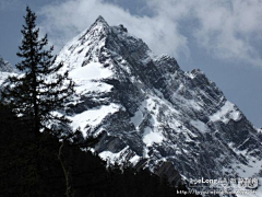 xiejiating采集到旅游 四姑娘山.长坪沟, 