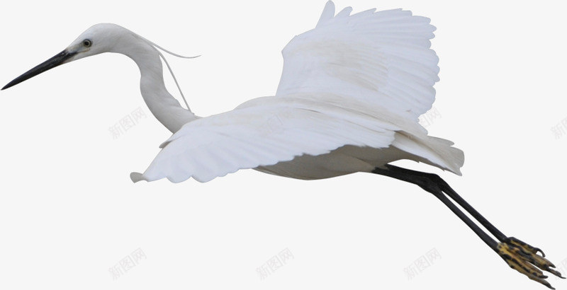 ef501454686a311b67fc6249f829aa04db14189f72d9-6ISI7I