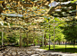 teresita fernández suspends a mirrored mirage above madison square park