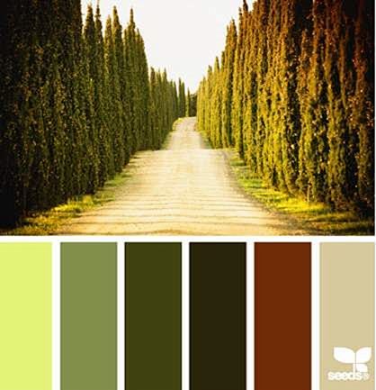 Color Road by Design...