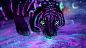 General 2560x1440 tiger water green eyes neon animals