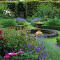 Pretty garden fountain, boxwoods  and perennials in bloom