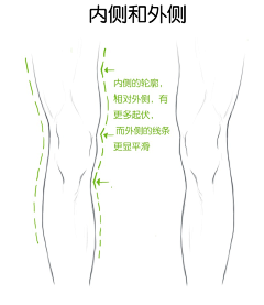 Zhaojia采集到人体 