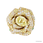 Dior高级珠宝Rose Dior Bagatelle系列黄钻戒指