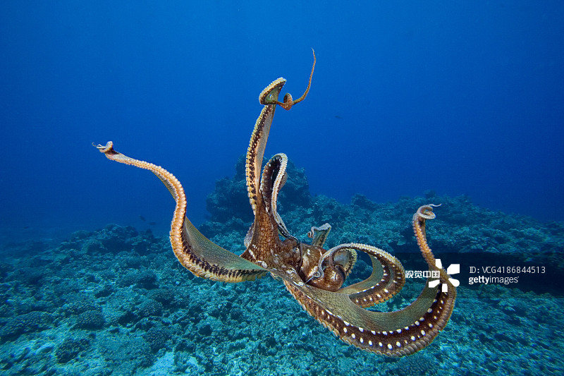 ef93f1d60467fa28b53810175b924c9d3ed557ab29270-50myUY