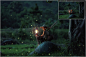@模库 超高像素火花特效叠层背景 5K Fireflies Vol. 1_平面素材_纹理图案_模库(51Mockup)