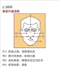 最全人体穴位图，有空可以按按~