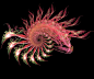 Deep Sea Creature: 