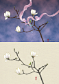 如何将一副普通的花枝变成有情景感的故事插画
#古风插画##花绘##白玉兰#