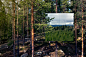 tree hotel by tham & videgard arkitekter 4