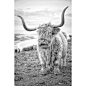 Highland Cows VI On Canvas by Joe Reynolds Print