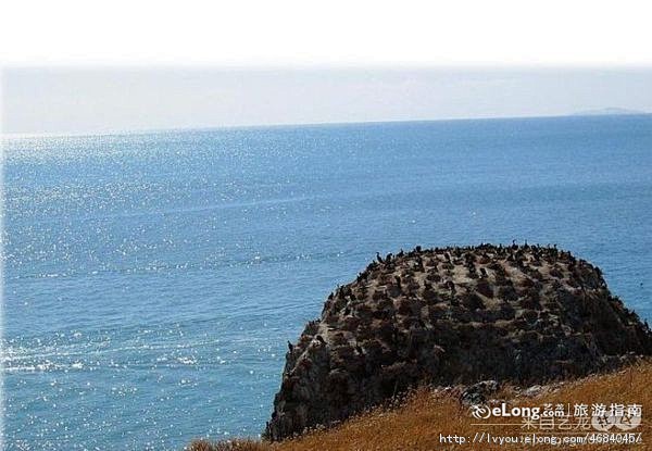 98西北之行回顾—第五站青海湖:宾馆, ...