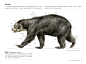 国际插画大师惠特拉奇的动物画教程：艺用生物解剖 专题 | leewiART 乐艺 建立你的个人艺术画廊，汇聚优秀的CG艺术作品