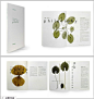 日本设计大师三木健作品系列（九）——书籍设计及包装_Day-收集