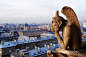 巴黎圣母院：隐藏在顶层的怪兽(组图)