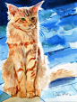 Rachelsstudio 画笔下的水彩猫咪。