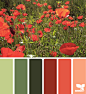 poppy palette