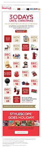 HomeGoods holidays 2013 email marketing